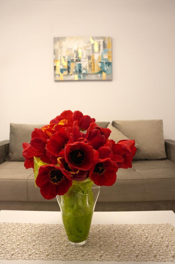 Brigitte Apartment 브라쇼브 외부 사진